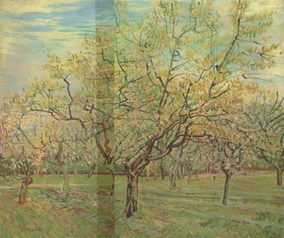Vincent Van Gogh The White Orchard (nn04)